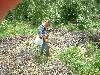2003_0612_144420AA.jpg